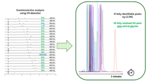 UV chromatograms at 254 nm (intensity vs LC retention time) under HPLC conditions of the 21 AQC‑derivatized AAs on the Vaast column (1.7 μm, 100 x 2.1
mm) and corresponding overlay of the 41 peaks fully identifiable by LC/MS.
Gradient conditions as described in Experimental Section