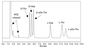 UV chromatograms (254 nm) of AQC-derivatized isobaric amino acid enantiomers on a Vaast column (1.7 µm, 100 × 2.1 mm), including Thr, Hse, and allo-Thr, from simultaneous injections.